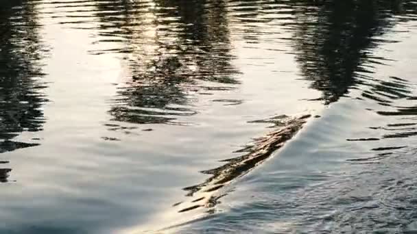 Rivier Water Rivier Bij Zonsondergang Tijd — Stockvideo