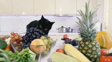 Mutfak ve sebzeler. Siyah kedi sebze ile mutfak masasına tırmanıyor.