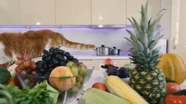 Mutfak ve sebzeler. Kırmızı kedi sebze ile mutfak masasına tırmanıyor.