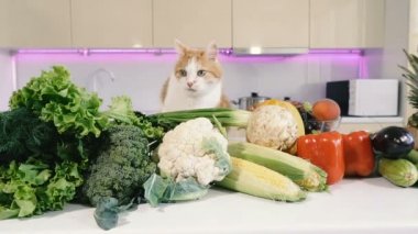 Mutfak ve sebzeler. Kırmızı kedi sebze ile mutfak masasına tırmanıyor.