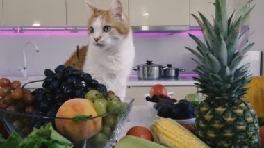 Mutfak ve sebzeler. Kırmızı kedi sebze ile mutfak masasına tırmanıyor.