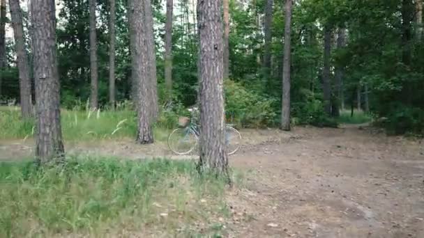 女式自行车 一个女人正站在森林里 骑着一辆女自行车 — 图库视频影像