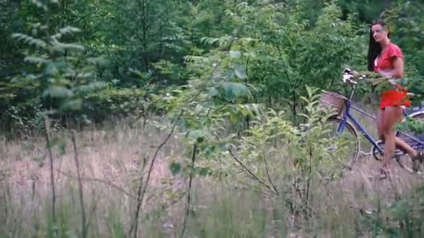 Bicicleta Natureza Menina Está Descansando Floresta — Vídeo de Stock