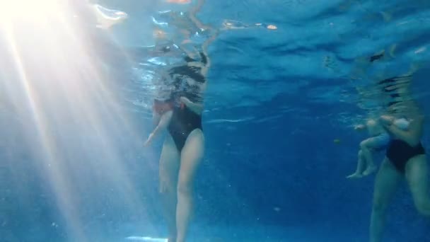 Swimming Pool Mom Dives Her Baby Pool Water — Stock Video