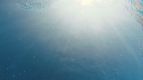 Piscine, piscine. Une femme nage dans la piscine .