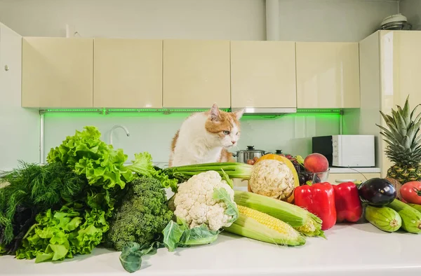 Kitchen and vegetables. Red cat climbs on the kitchen table with