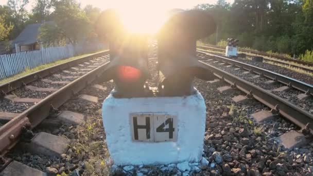 Semafor Železnice Semaforem Která Ukazuje Červené Světlo — Stock video