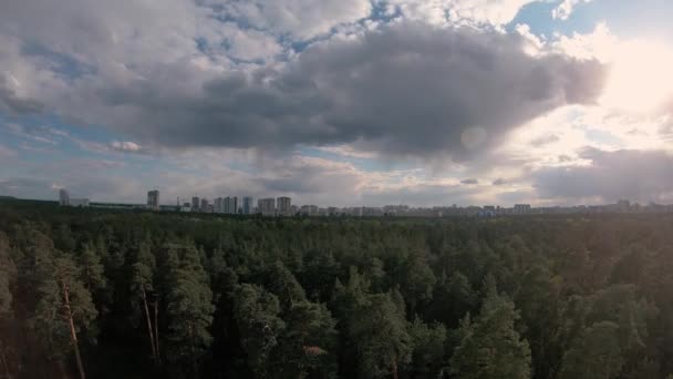 Les Nuages Des Nuages Volent Sur Une Pinède — Video