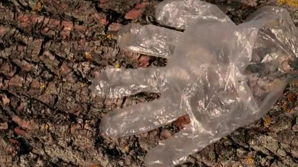 Müll Ein Plastikhandschuh Klebt Einer Baumrinde — Stockvideo