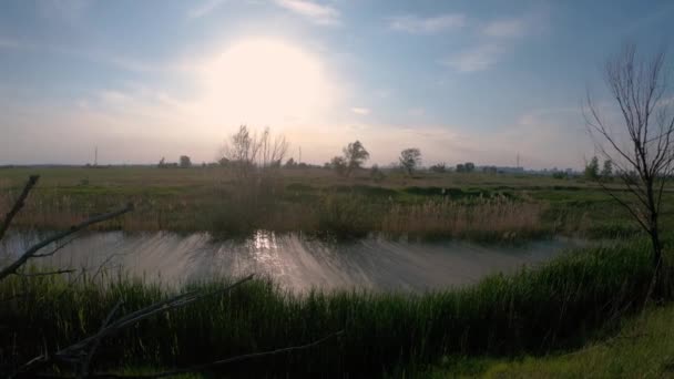 大自然 笔直流淌的河水 乌克兰 — 图库视频影像