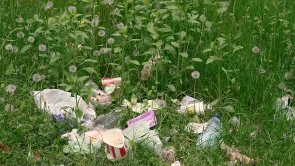 Ανοησίες Απορρίμματα Πλαστικό Βρίσκεται Ένα Πράσινο Γκαζόν — Αρχείο Βίντεο