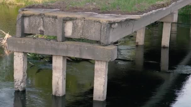 Brug Vernietigde Oude Brug Die Begroeid Met Gras — Stockvideo