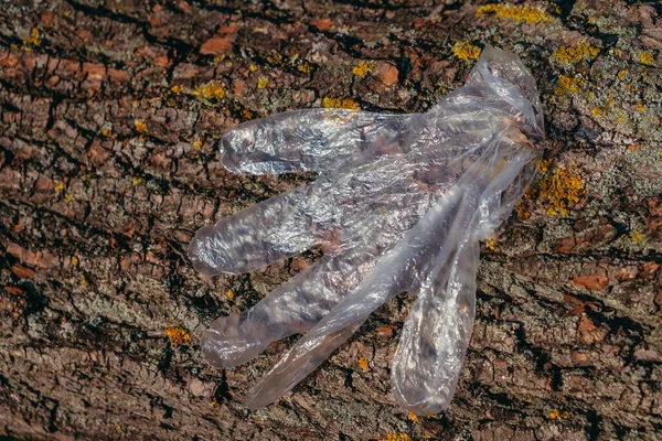 一只塑料手套粘在树皮上 — 图库照片
