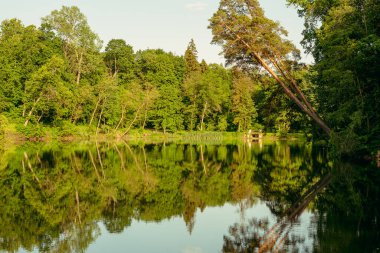 Göl. Ağaçlar gölün suyuna yansıyor..