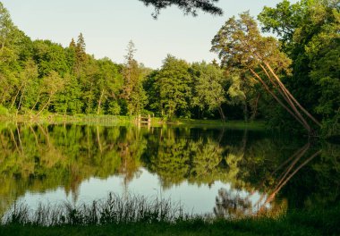 Göl. Ağaçlar gölün suyuna yansıyor..