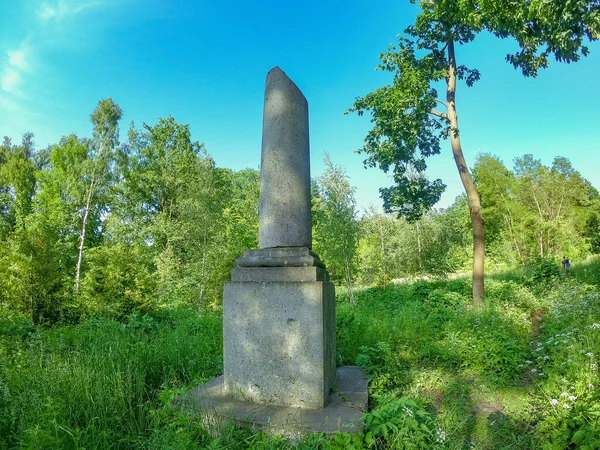 Yol. Yeşil bir parka giden dar bir yol..