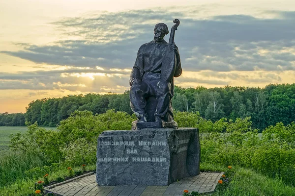 Ukraine Juni 2020 Monument Voor Kobzar Van Oekraïne Oekraïne — Stockfoto