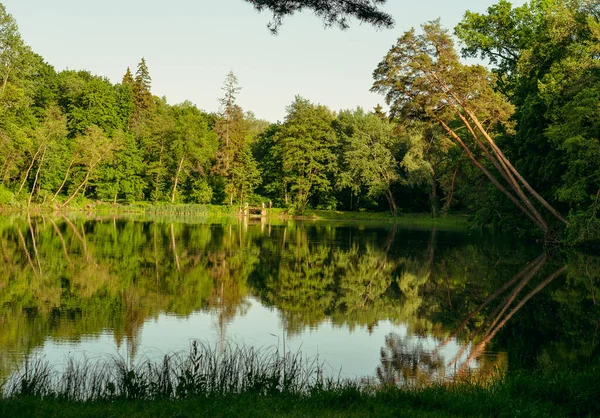 Göl. Ağaçlar gölün suyuna yansıyor..