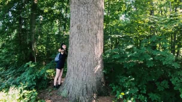 Madera Chica Abraza Enorme Árbol Viejo — Vídeo de stock