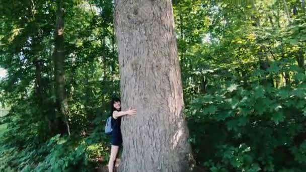 Madera Chica Abraza Enorme Árbol Viejo — Vídeo de stock