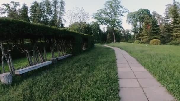 Vägen Smal Stig Som Leder Grön Park — Stockvideo