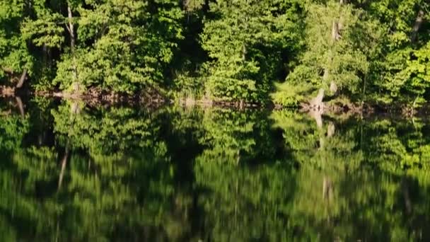 Lake Stromy Odrážejí Vodě Jezera — Stock video