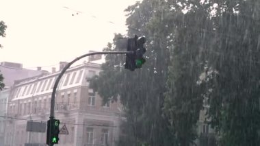 Trafik lambaları. Yağmurlu şehir ve trafik ışığı.