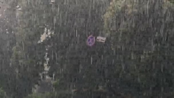 Znak Drogowy Żadnego Znaku Parkingowego Pada Deszcz — Wideo stockowe