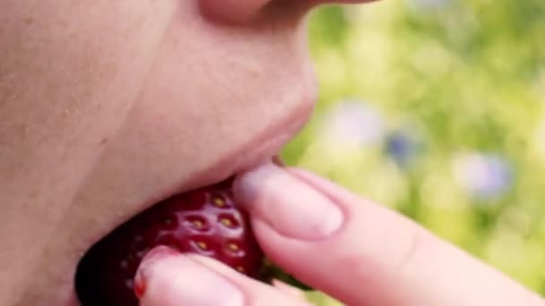 Fraise Une Femme Mord Une Fraise Rouge — Video