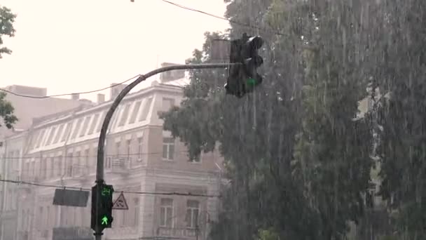 Trafik Lambaları Yağmurlu Şehir Trafik Işığı — Stok video