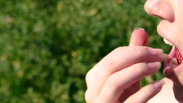 Çilekli Bir Kadın Kırmızı Çileği Isırıyor — Stok video