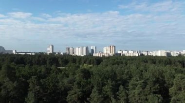 Çam ormanı. Şehrin arka planında çam ormanı. Ukrayna. Kiev.