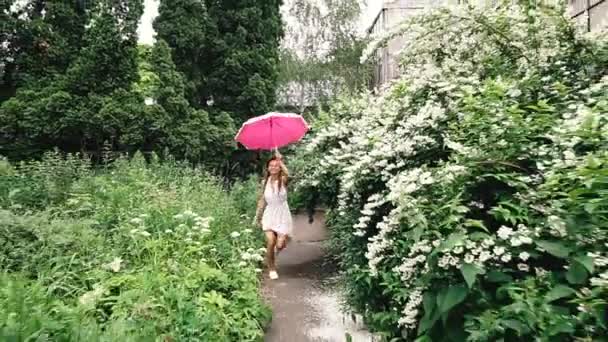 Ομπρέλα Νεαρή Γυναίκα Ομπρέλα Από Βροχή — Αρχείο Βίντεο