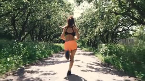 Smartphone Une Jeune Femme Prend Des Fleurs Sur Smartphone — Video