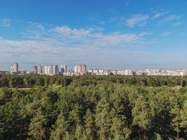 Orman ve şehir. Büyük bir şehrin arka planına karşı çam parkı. Ukrayna. Kiev.