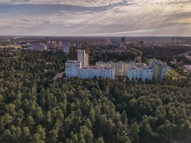 Orman ve şehir. Büyük bir şehrin arka planına karşı çam parkı. Ukrayna. Kiev.