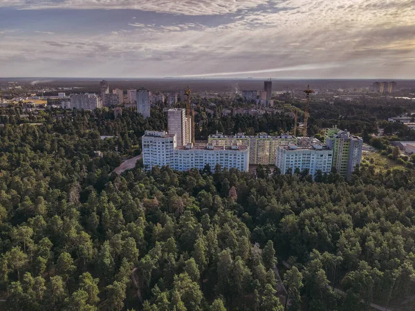 Orman ve şehir. Büyük bir şehrin arka planına karşı çam parkı. Ukrayna. Kiev.