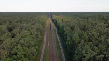 Yüksek hızlı tren. Hızlı tren orman boyunca demiryolu ile seyahat eder..