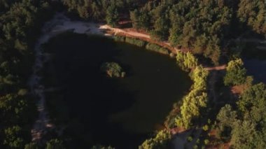 Orman ve şehir. Büyük bir şehrin arka planına karşı çam parkı. Ukrayna. Kiev.