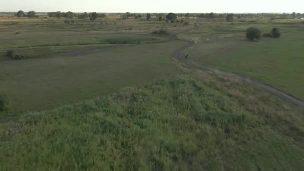 オートバイだ オートバイは階段を渡って乗る 空中からの撮影 空中風景 — ストック動画