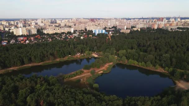 Floresta Cidade Pine Park Contra Pano Fundo Uma Grande Cidade — Vídeo de Stock