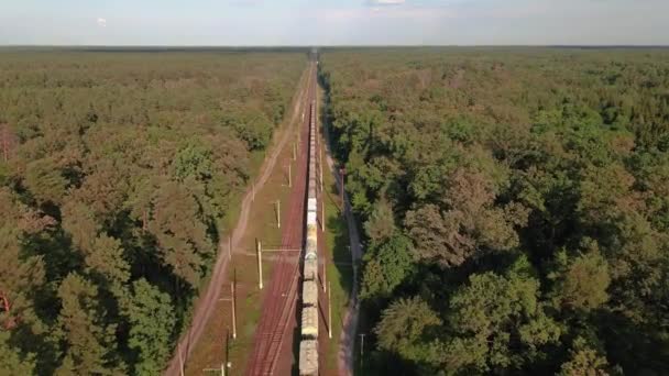 Goederentrein Een Goederentrein Rijdt Door Een Spoorweg Het Bos — Stockvideo