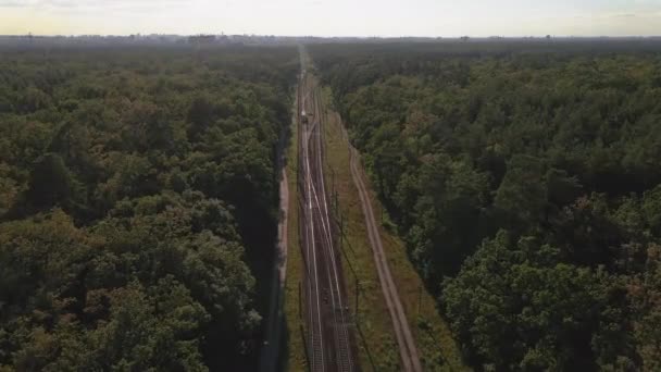 Železnice Železnice Vede Podél Lesa — Stock video