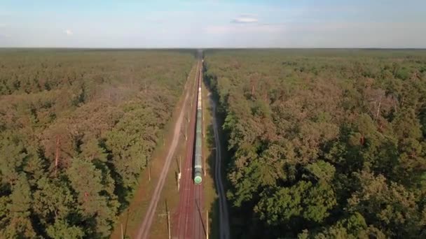 Goederentrein Een Goederentrein Rijdt Door Een Spoorweg Het Bos — Stockvideo