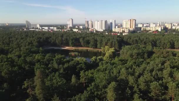 Floresta Cidade Pine Park Contra Pano Fundo Uma Grande Cidade — Vídeo de Stock