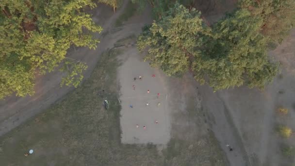 Volleybal Mensen Spelen Volleybal Natuur Luchtzicht — Stockvideo