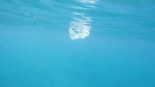 Ρύπανση Της Θάλασσας Πλαστική Τσάντα Επιπλέει Στη Θάλασσα — Αρχείο Βίντεο