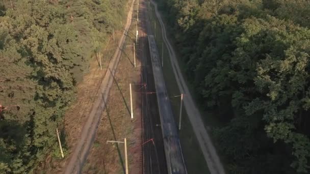 Železnice Vlak Jede Lese Letecký Pohled — Stock video