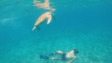 Deniz. Sualtı maskeli ve yüzgeçli bir adam büyük bir kaplumbağanın yanında denizde yüzer. Mısır.