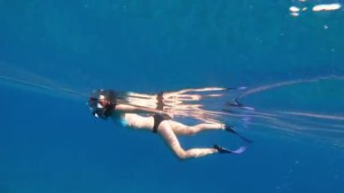 Deniz. Sualtı maskeli ve şnorkel takmış bir kadın denizde yüzüyor. Mısır. Kızıl Deniz